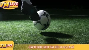 Kèo tài xỉu 0-0.5 là gì? Cách đọc tỷ lệ cược và tính tiền 6 Kèo tài xỉu 0-0.5 là gì
