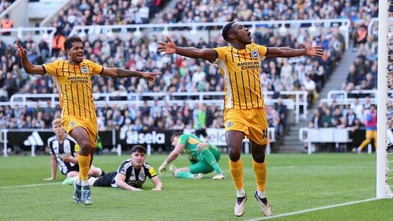 Newcastle vs Brighton - Mòng Biển sải cánh bay cao